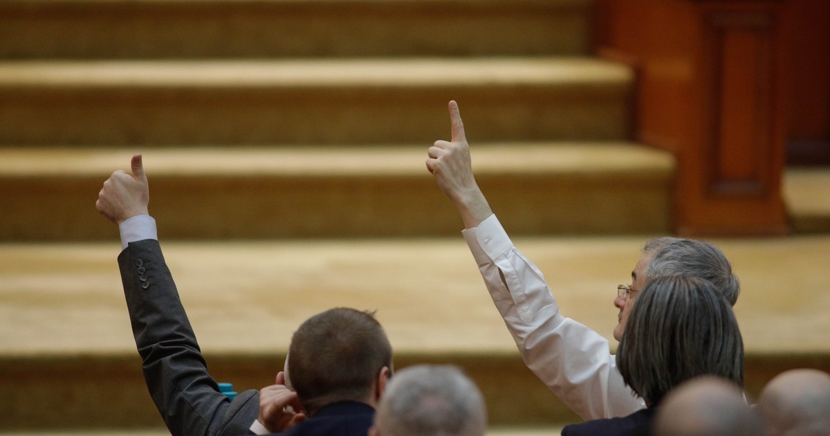 Strategia PNL pentru Guvernul Niculescu: de ce votează liberalii un cabinet fără participarea lor