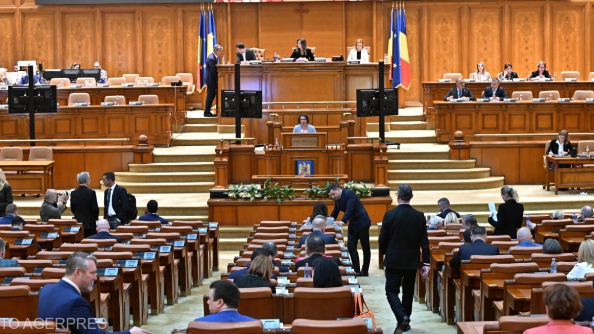 Lider PNL anunță că nu va vota Guvernul Luca Niculescu: „Nu putem susține acest guvern în aceste condiții”