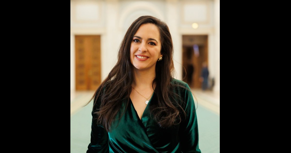 PSD cere sesizarea Comisiei de disciplină împotriva deputatei USR Diana Stoica