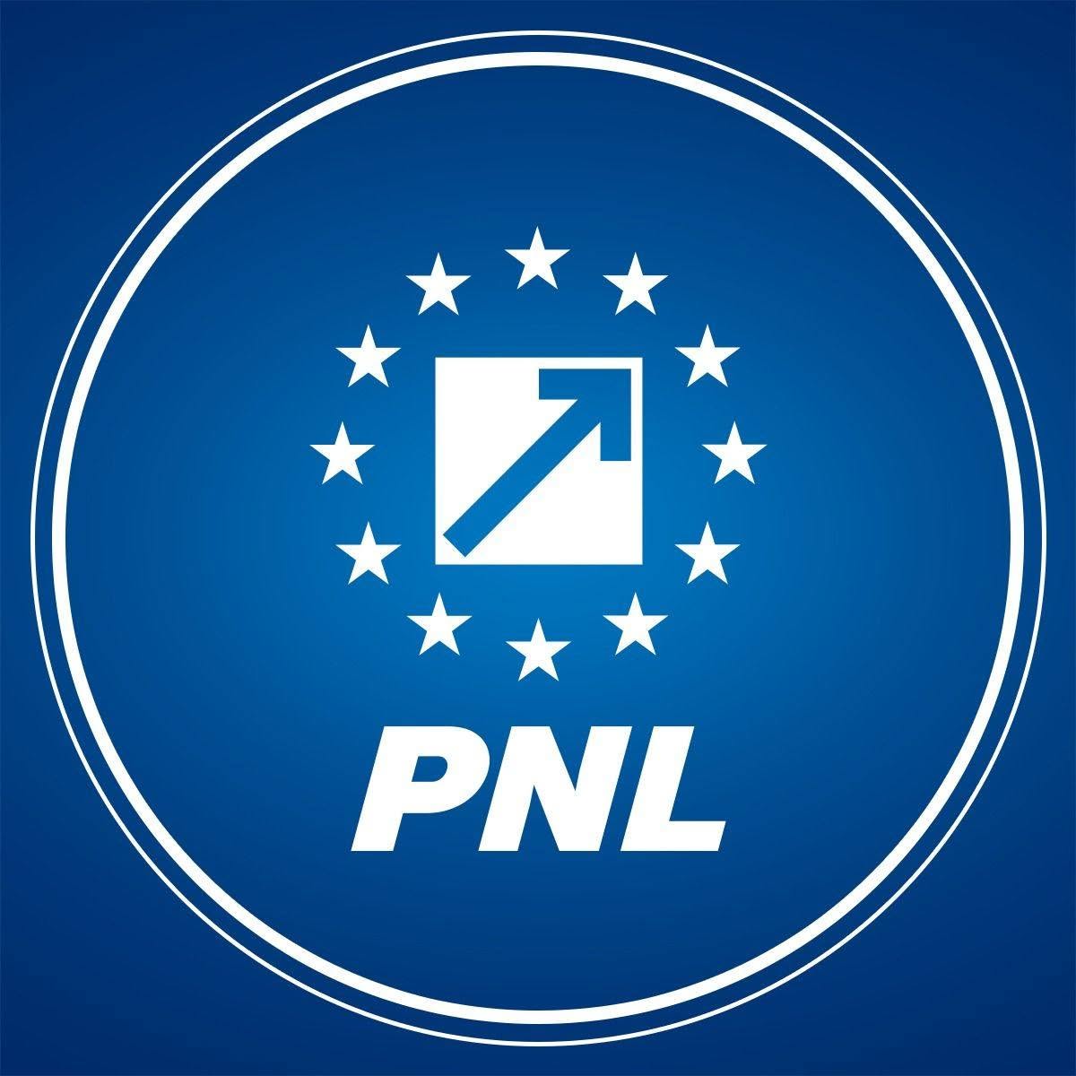 PNL decide sâmbătă prin vot online poziția față de învestirea Guvernului Luca Niculescu
