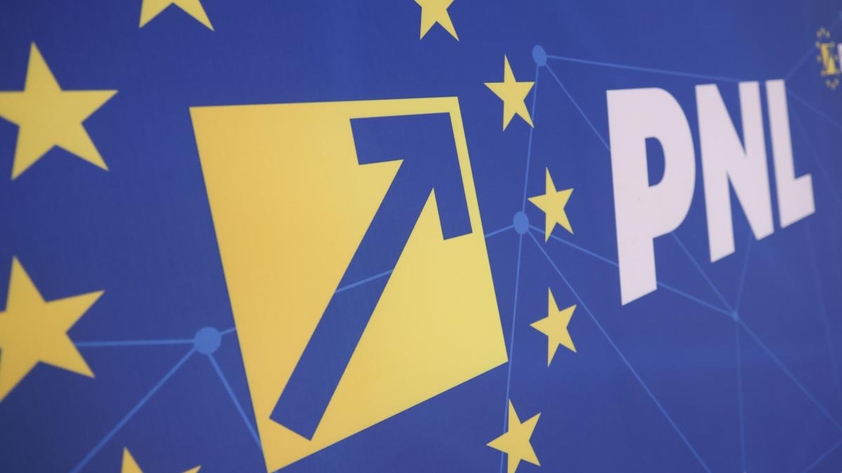 Alina Gorghiu și Alin Tișe critică decizia PNL de a vota Guvernul Luca Niculescu