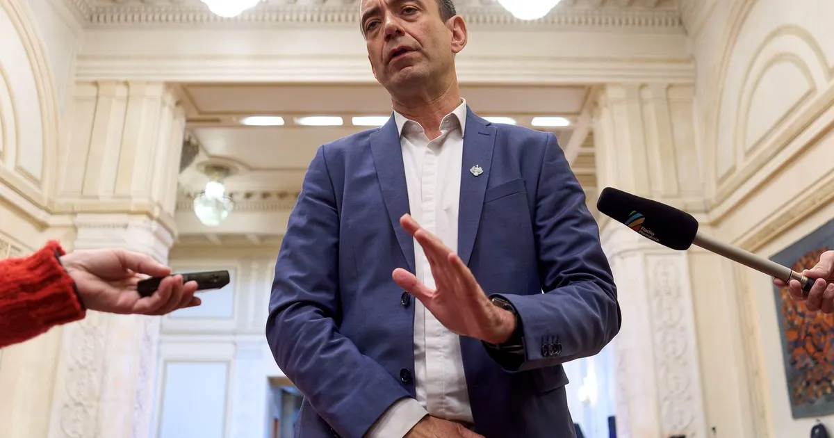 UDMR susține învestirea Guvernului Luca Niculescu, dar avertizează că Executivul ar putea cădea în patru luni