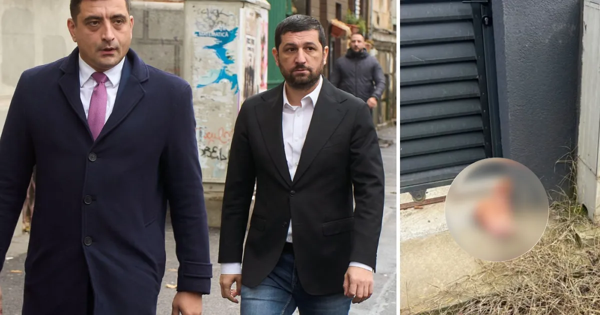 Nou incident de intimidare împotriva lui Marius Lulea: al doilea cap de porc găsit la o firmă din Tunari