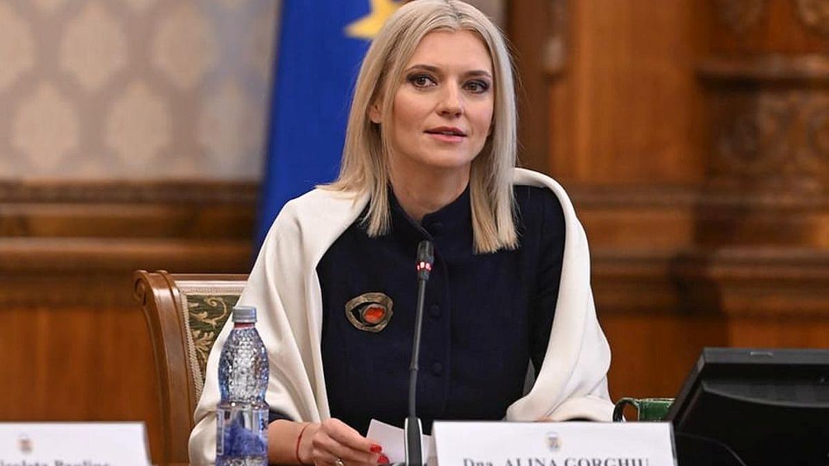 Avertismentul Alinei Gorghiu: Noul premier desemgnat nu are asigurată majoritatea în Parlament