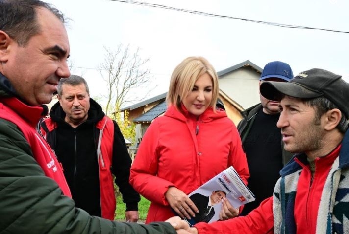 Senatoarea PSD Alina Tănăsescu se retrage din comisia de anchetă legată de zborul privat către Mykonos