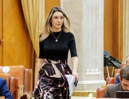Diana Buzoianu: Dominic Fritz nu mai este primarul Timișoarei peste trei zile