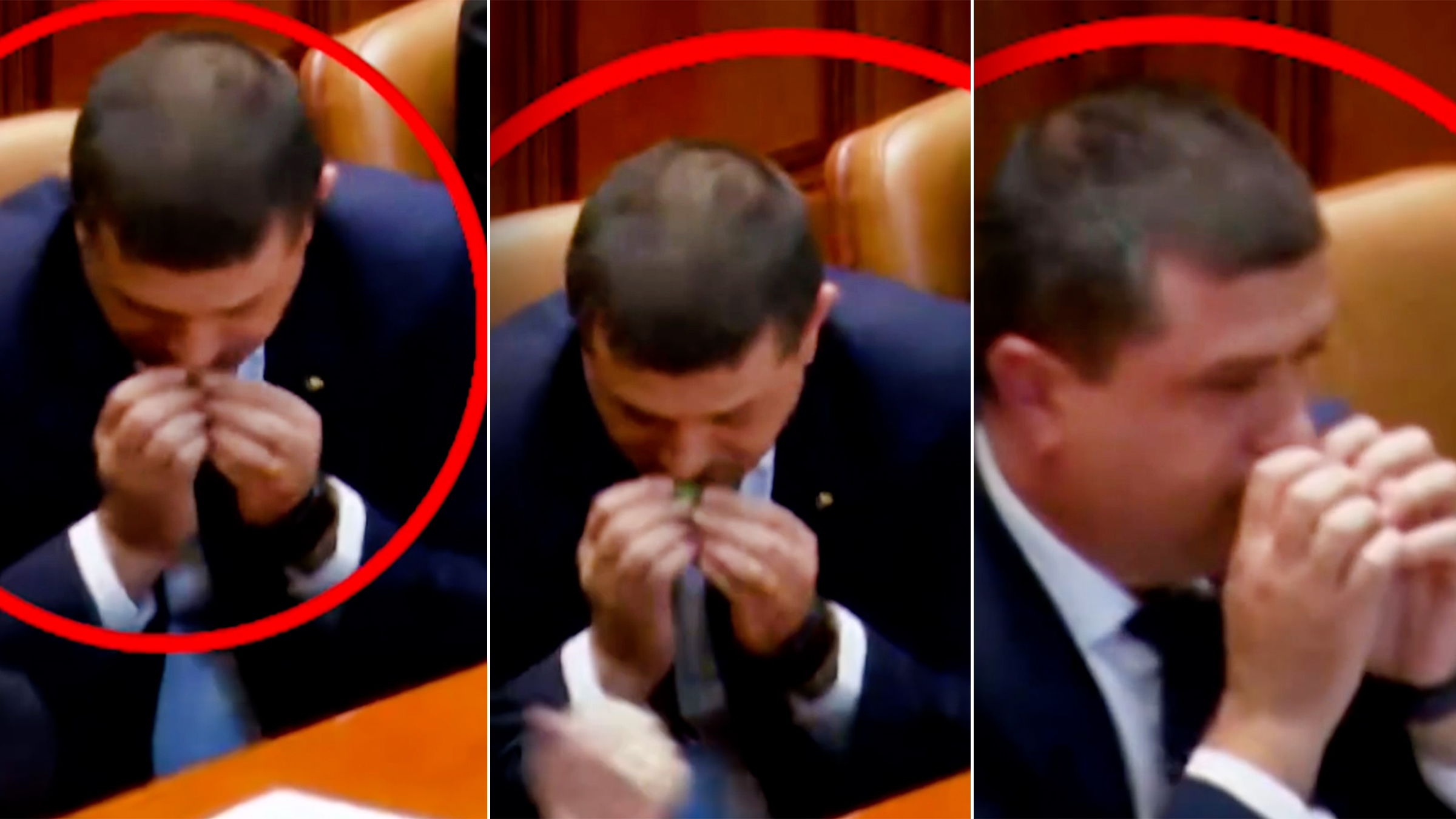 Scene neobișnuite în Parlament: un ghiveci de mentă oferit premierului desemnat Siegfried Mureșan
