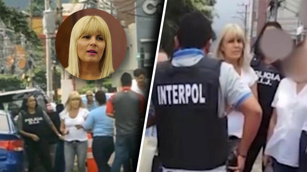 Elena Udrea atacă PNL și miniștrii liberali de la Justiție în semnul a 8 ani de la arestarea din Costa Rica