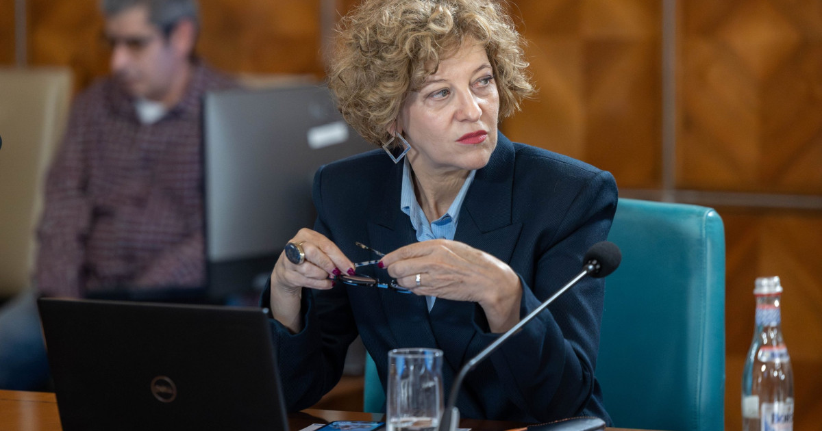 Oana Gheorghiu: Votul PNL pentru guvernul lui Luca Niculescu depinde de program și de echipa de miniștri