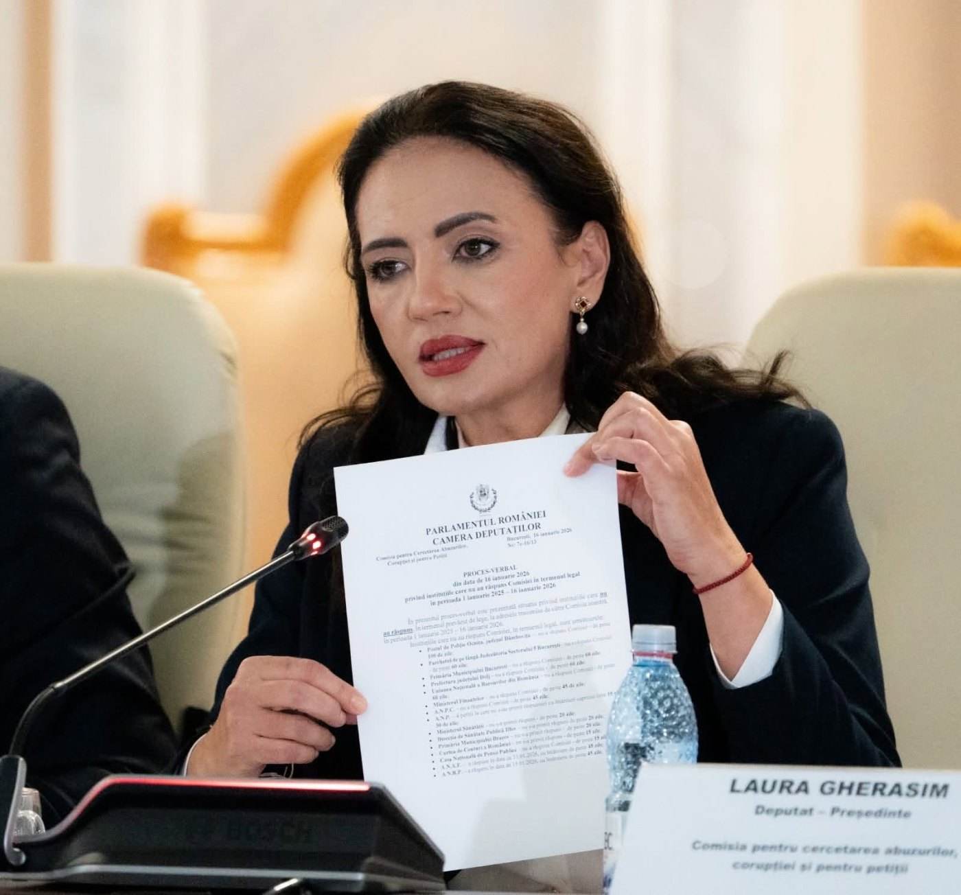 Laura Gherasim respinge acuzațiile de implicare a Comisiei în cazul Fănel Bogos și George Simion