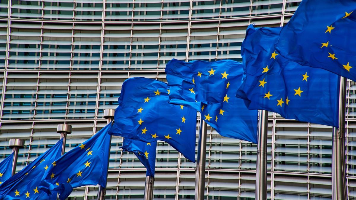 Europarlamentarii PSD susțin măsuri de protecție pentru fermieri în contextul aplicării mecanismului CBAM