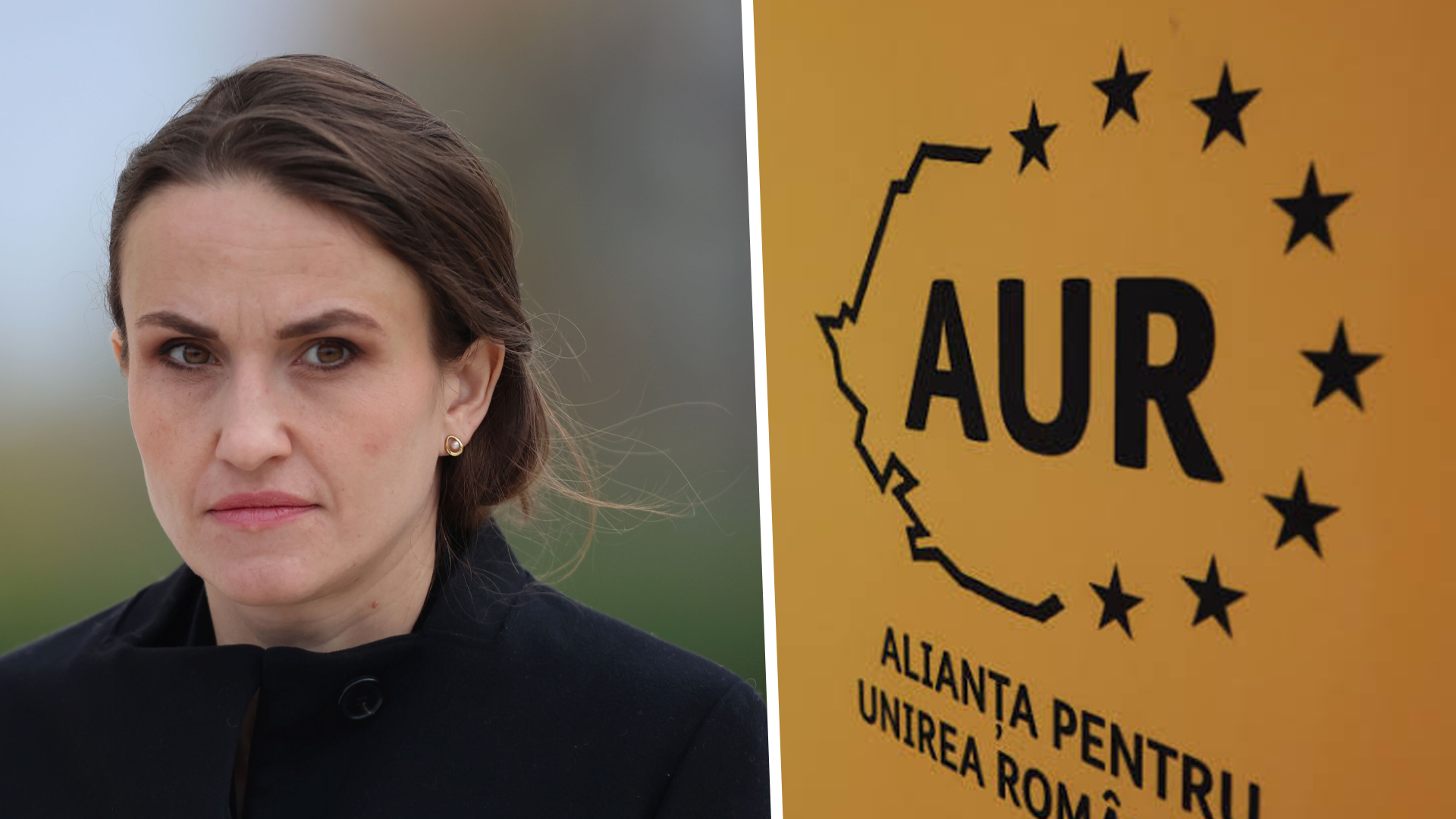 Senatul a adoptat declarația AUR privind protejarea dreptului de veto al României în UE