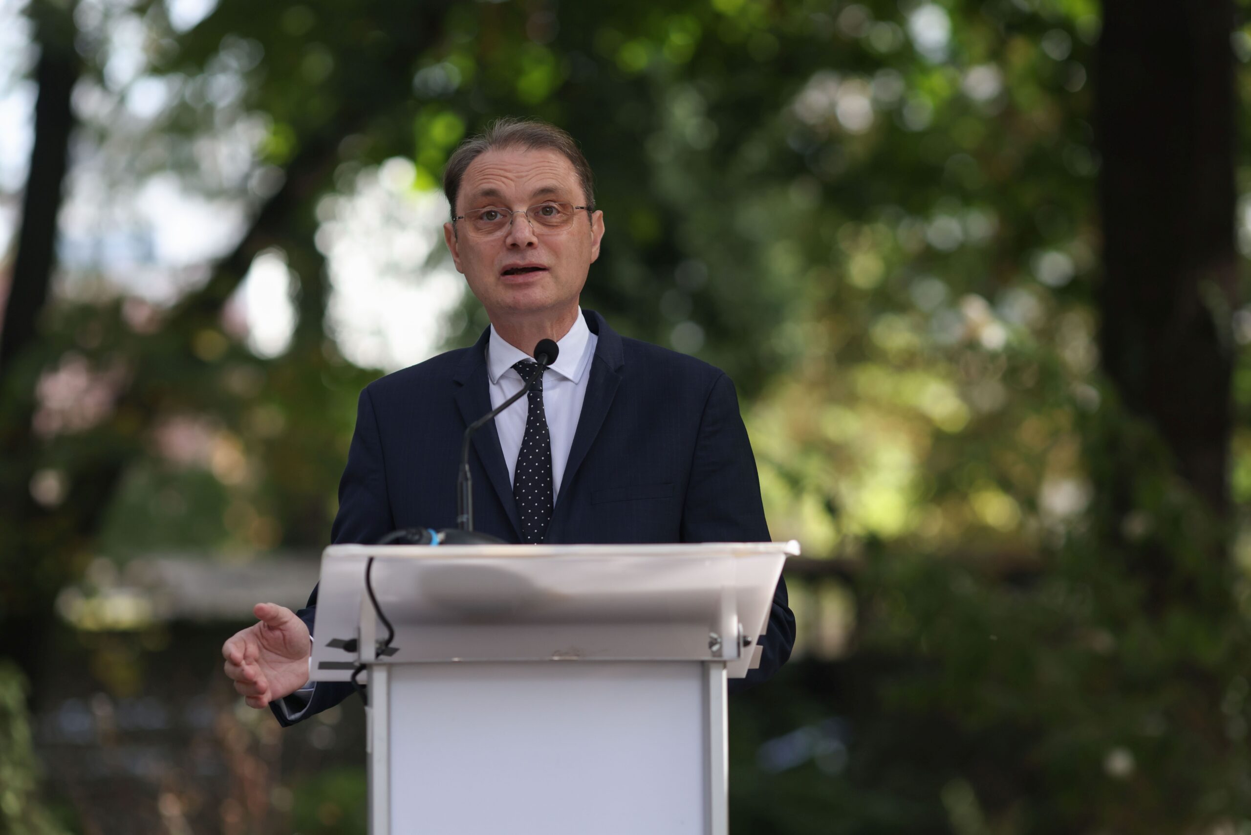 Analiză politică: Rolul lui Luca Niculescu în formarea unui potențial Guvern PSD